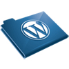 Common WordPress Functions