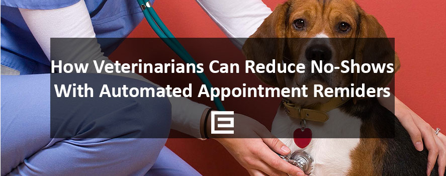 How Veterinarians Can Reduce No-Shows With Automated Appointment Reminders How Veterinarians Can reduce no-shows with automated email reminders - TheeDesign