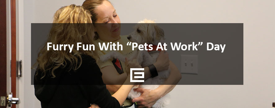 Furry fun with “Pets at Work” Day at TheeDesign TheeDesign Pets At Work Day March 2017