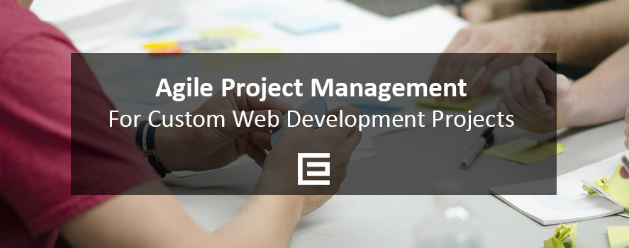 Agile Project Management for Web Development Projects Agile Project Management for Custom Web Development Projects - TheeDesign Raleigh
