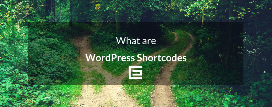 What are WordPress Shortcodes What Are WordPress Shortcodes