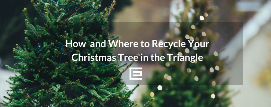 How to Recycle Your Christmas Tree In Raleigh